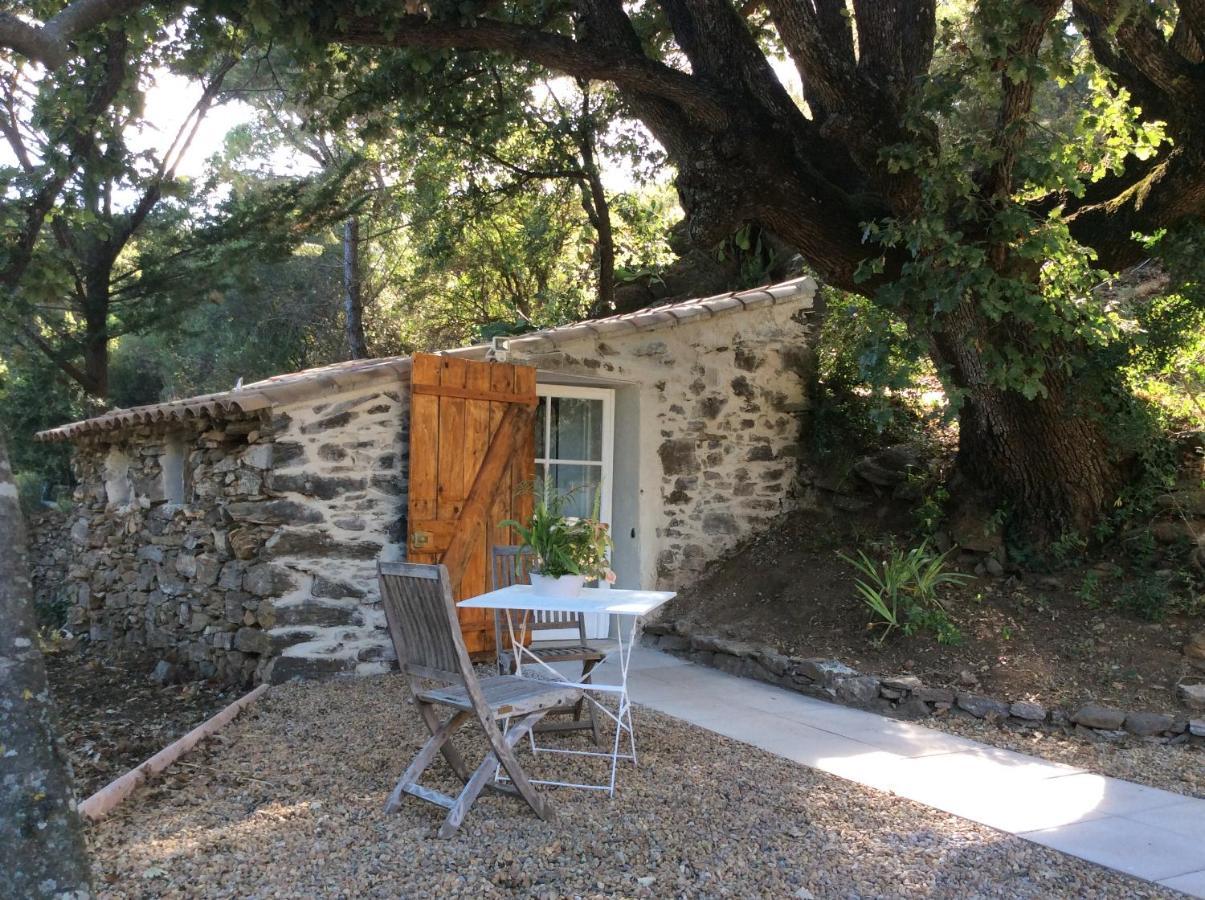 La Petite Bergerie, Les Hautes Roches Collobrieres Exterior photo